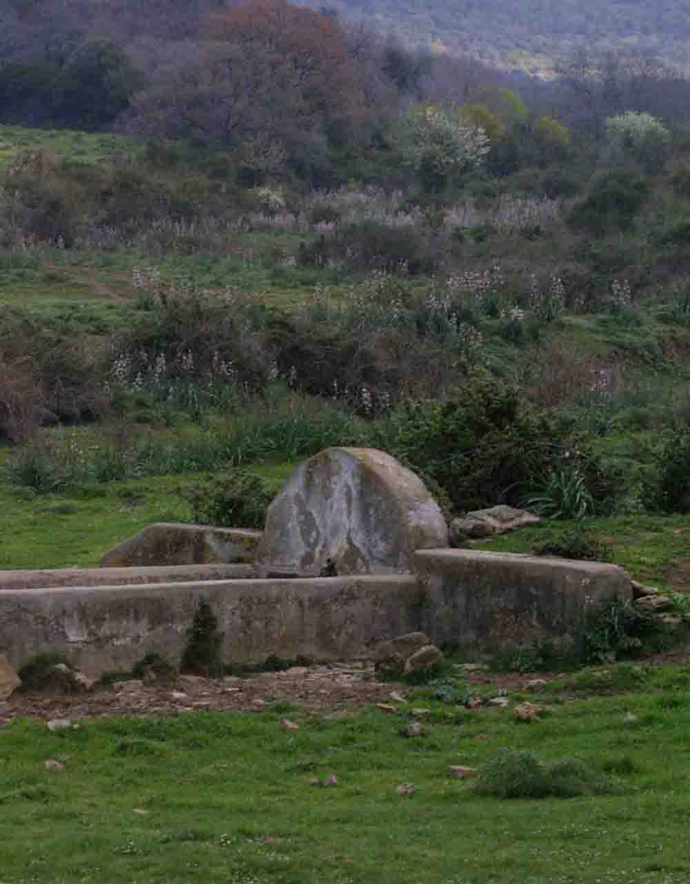 Fontanili del Lazio